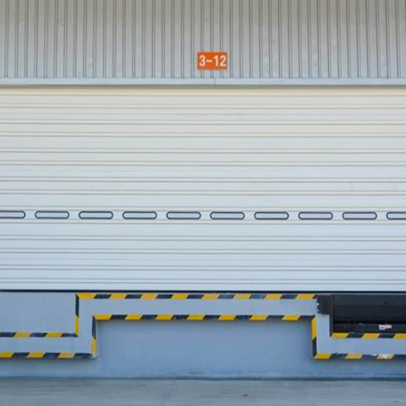SD03 Aluminium Single Panel Industrial Door